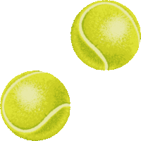 テニス　ボール